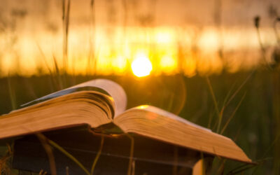 Gospel Reflection Twelfth Sunday Of Year June 21 2020