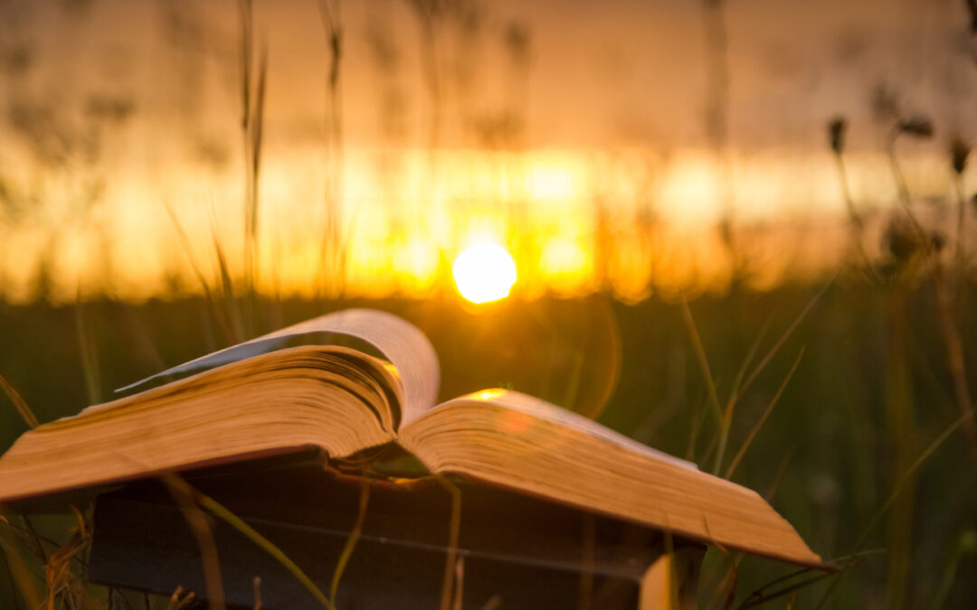 Gospel Reflection for the Second Sunday of the Year | January 19th