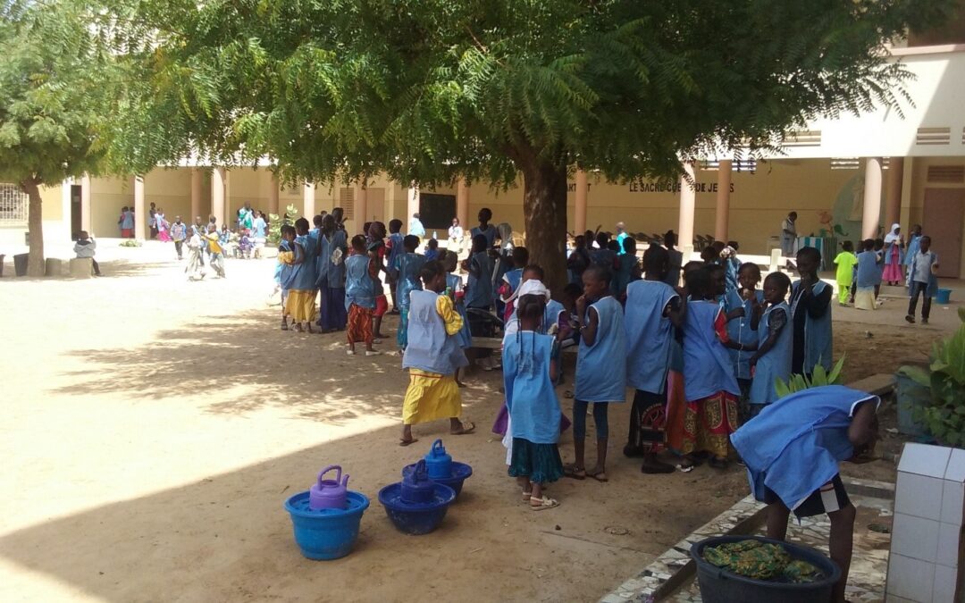 Letter from Sr Clotilde in Senegal