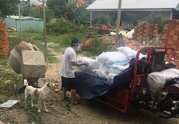 “A roaring lion”: MSCs respond to COVID-19 in Vietnam