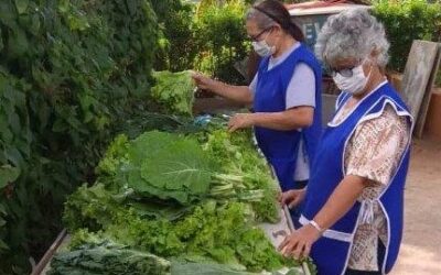 OLSH outreach in Alfenas, Brazil, reaches 65 hungry families per month