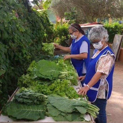 OLSH outreach in Alfenas, Brazil, reaches 65 hungry families per month