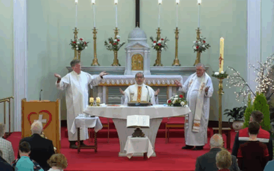 MSC Superior General concelebrates Mass in the Sacred Heart Church, Cork