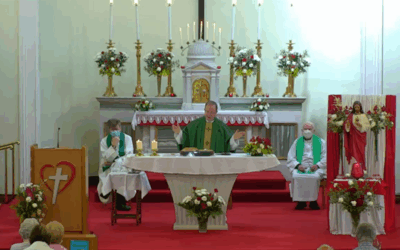 “In God’s love, nothing and no-one is ever lost”: MSC Novena to the Sacred Heart 2022