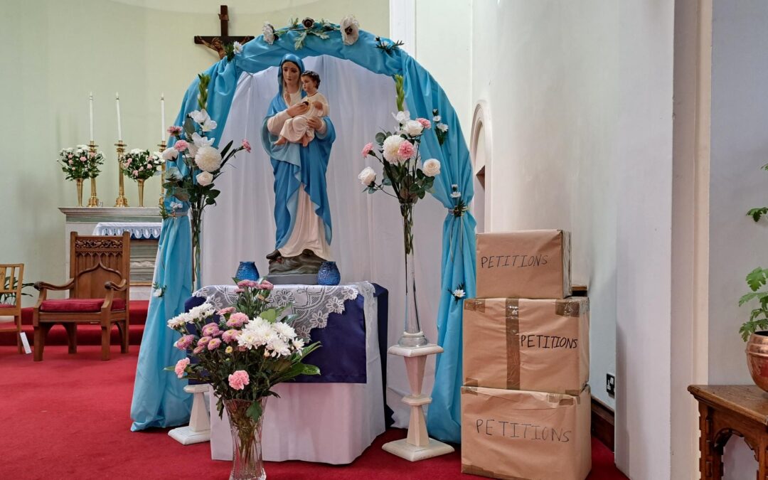 A season of compassion: MSC Novena to Our Lady of the Sacred Heart 2022