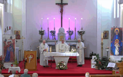 Healing, mercy, and forgiveness: Our 2024 MSC Novena to Our Lady of the Sacred Heart