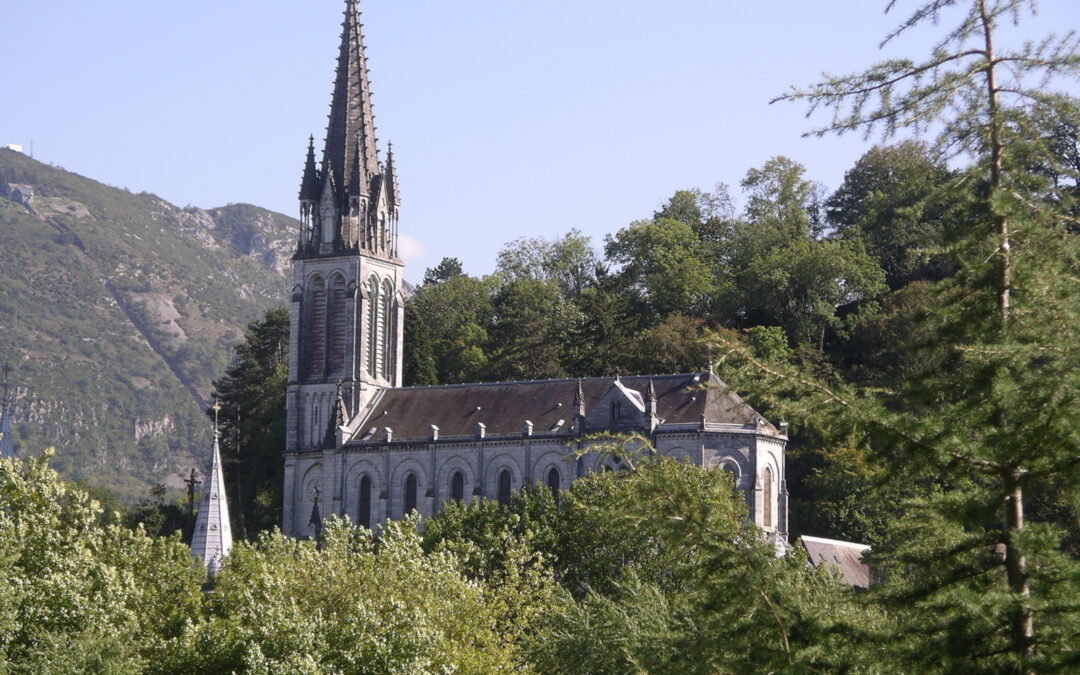 MSC Pilgrimages: Lourdes 2025
