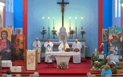 Hope, courage & healing: Novena to the Sacred Heart 2025